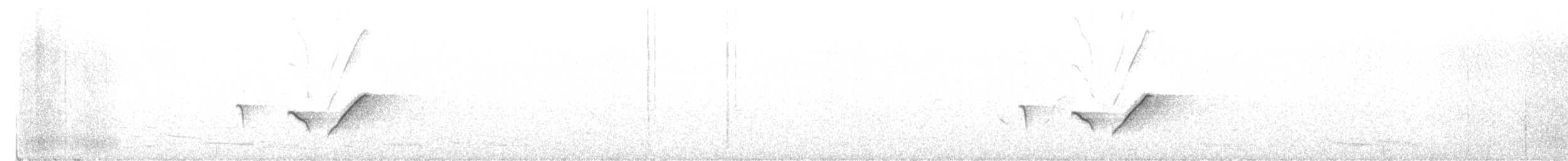 Güneyli Çalı Bülbülü - ML577723541