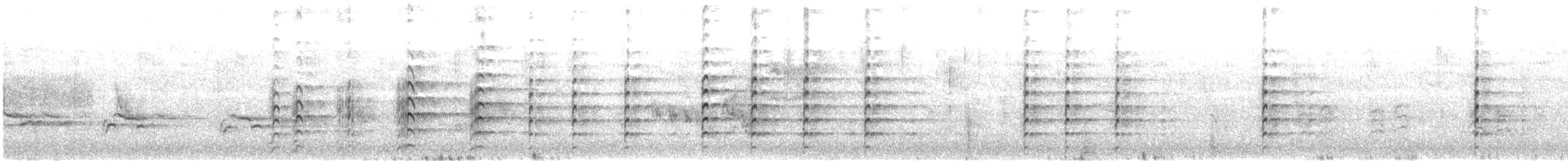 Maskenkiebitz (novaehollandiae) - ML577726451