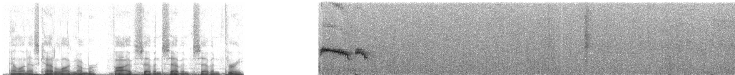 Élénie siffleuse (groupe cinerascens) - ML57773