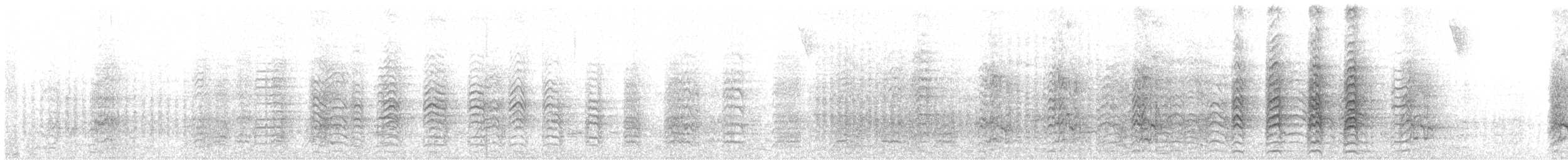 Mitred Parakeet - ML577780691