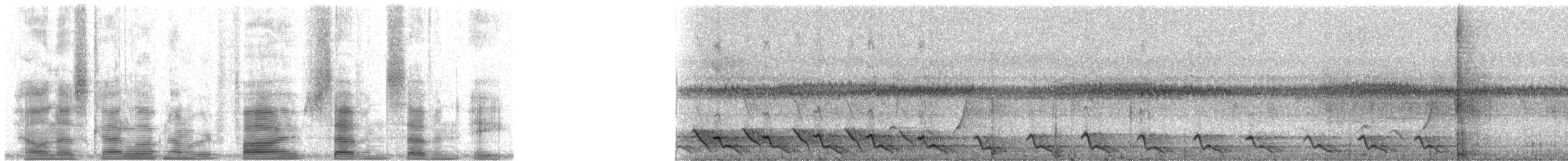 Méliphage de Viti Levu - ML5778
