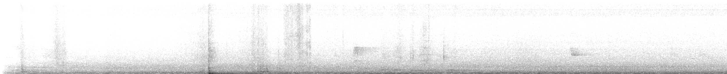 Couch's Kingbird - ML577815671