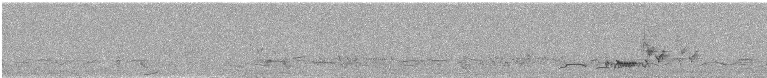 インドクロウタドリ（nigropileus／spencei） - ML577820191