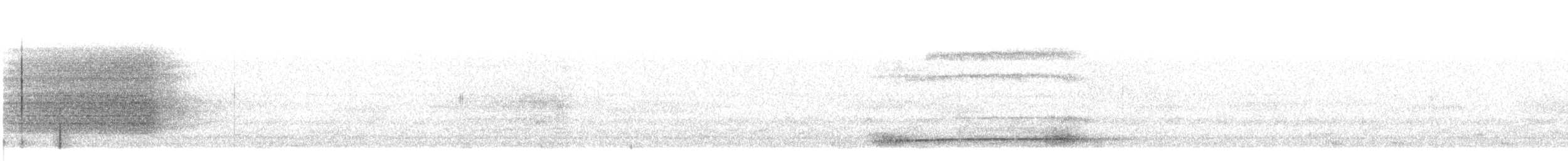 Western Barn Owl - ML577824871