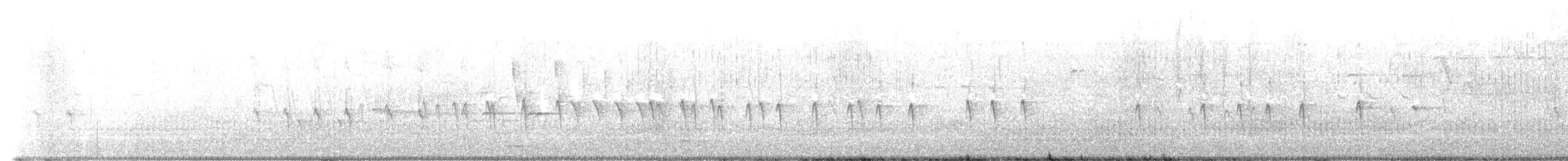 Bec-croisé des sapins - ML577842471