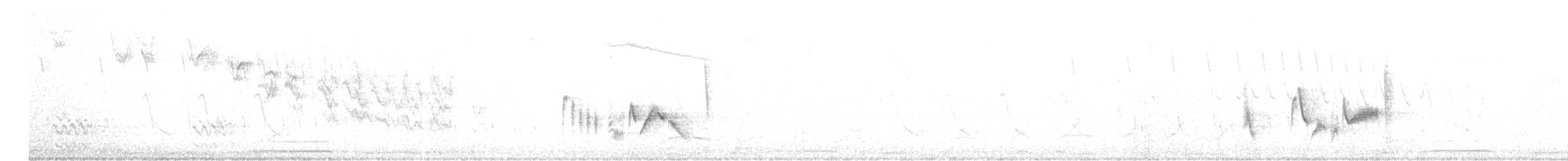 White-eyed Vireo - ML577853711