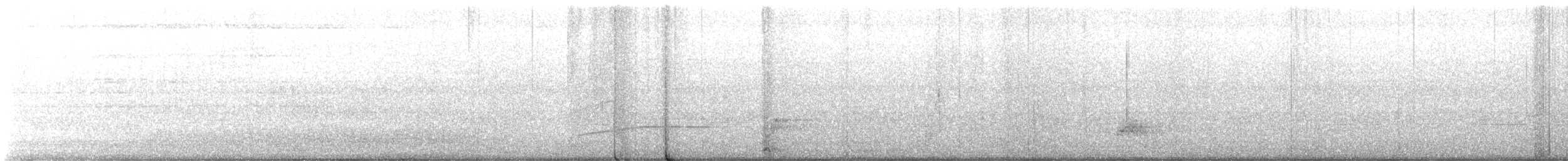 シロハラオオヒタキモドキ - ML577860501