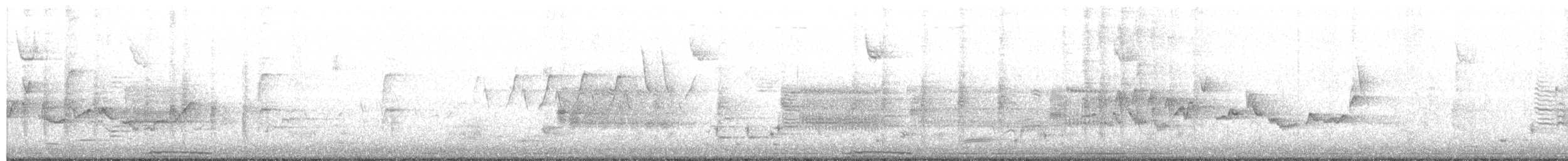 Eastern Warbling Vireo - ML57787721