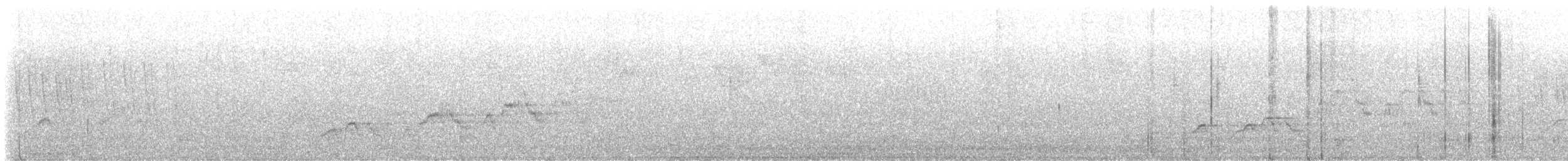 Дрізд-короткодзьоб Cвенсона - ML577886711