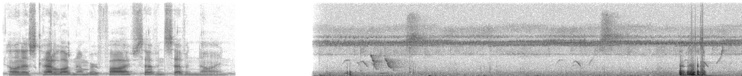 Yellow-throated Fiji Whistler - ML5779