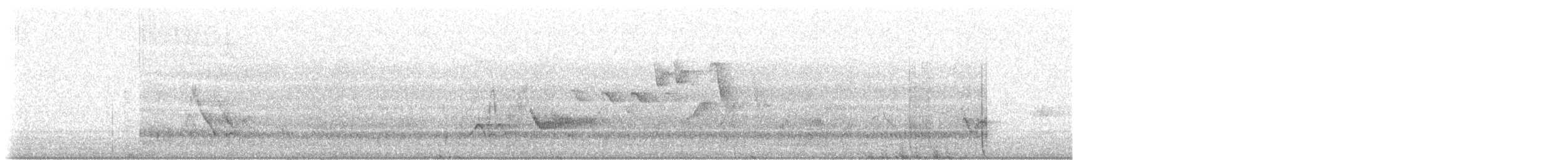 Plumbeous Vireo - ML578003921