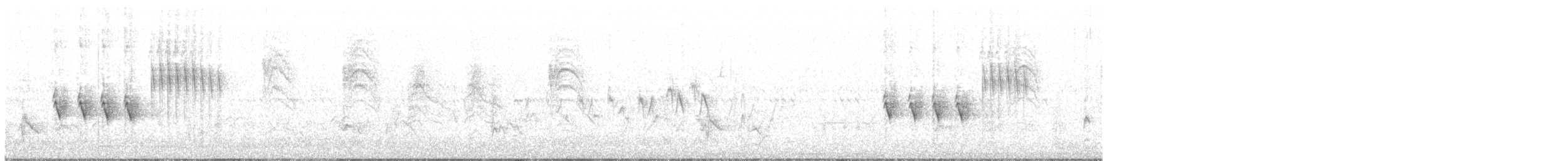 Spotted Towhee - ML57803041