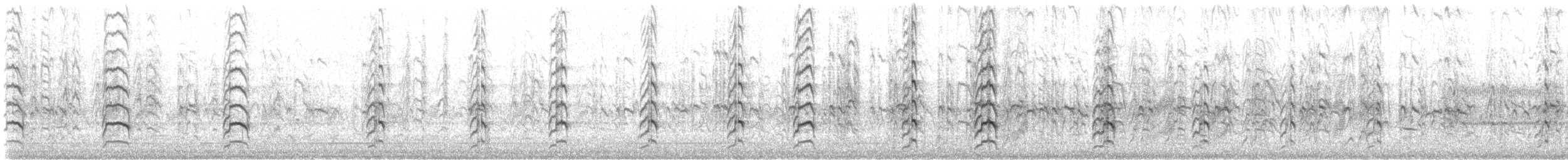 Schlammtreter (semipalmata) - ML578065641