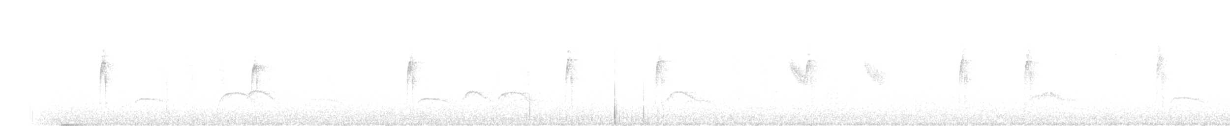 Colibri à flancs blancs - ML578111581