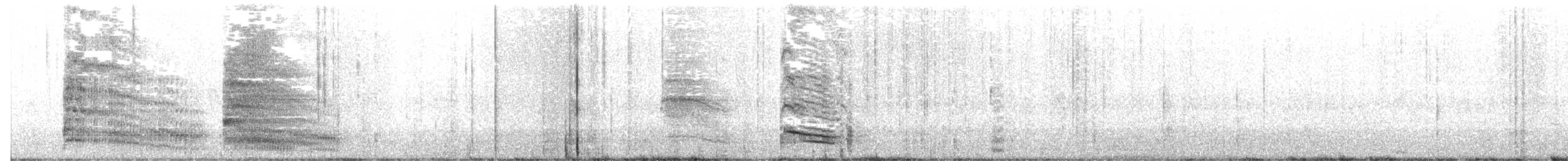 Mouette argentée (scopulinus) - ML578125051