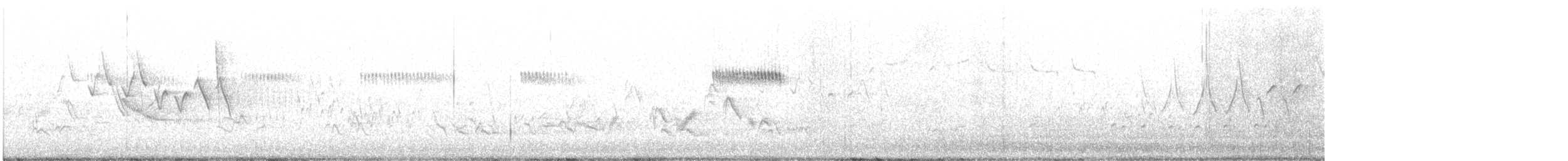Широкохвостый колибри - ML578128151