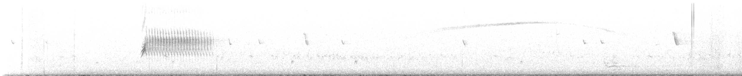 Costa Kolibrisi - ML578135201
