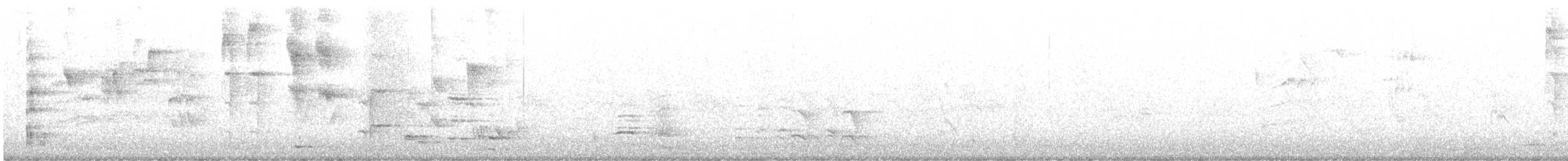 Tui - ML578140751