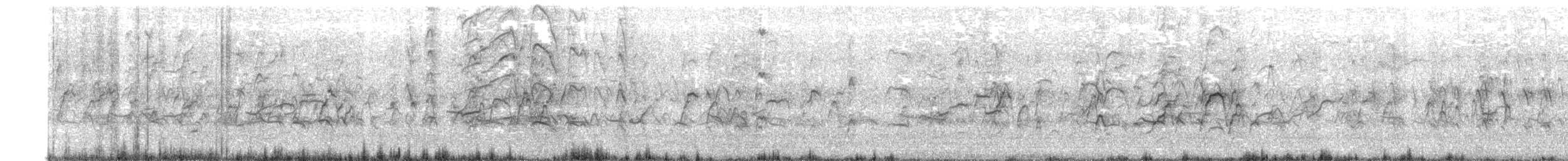 Kara Karınlı Islıkçı Ördek - ML578150581