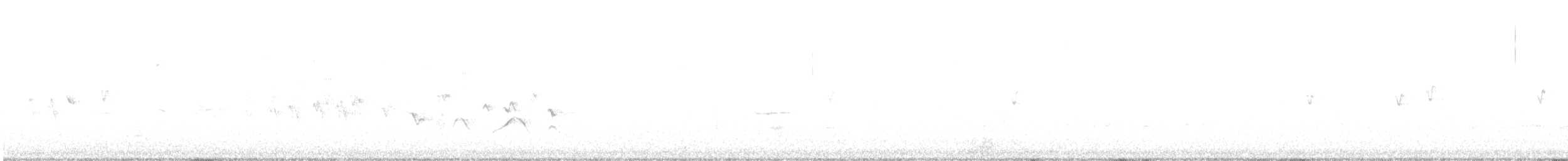 Troglodyte des marais - ML578154901