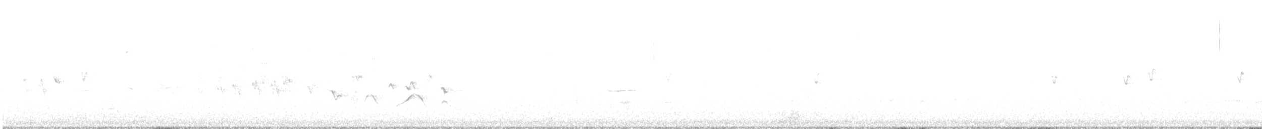 Marsh Wren - ML578154901