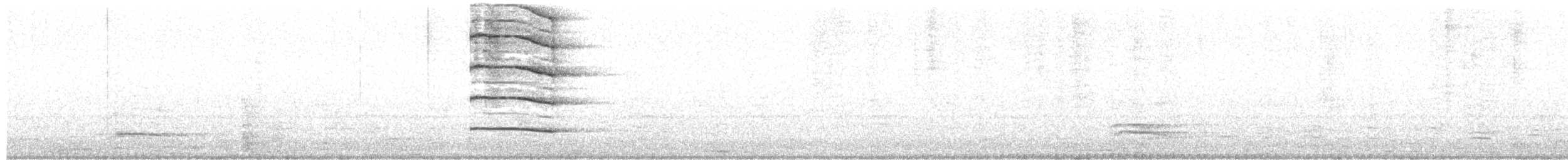 Сова вухата (підвид otus/canariensis) - ML578172391