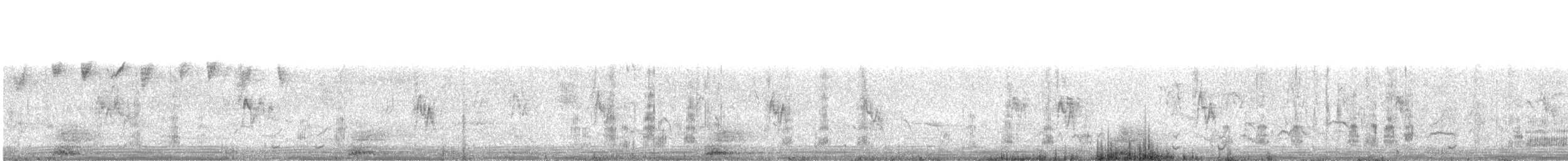 Крижень звичайний х австалійський - ML578172411