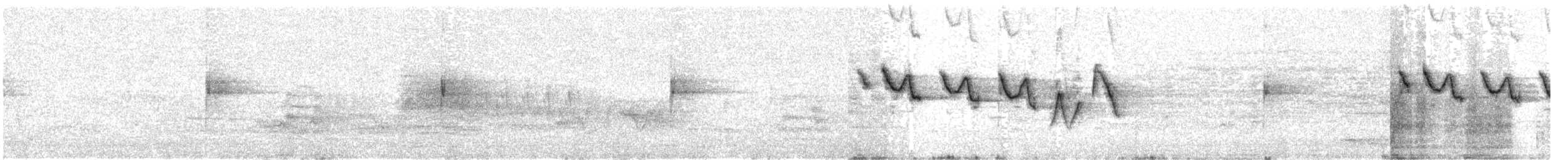 Louisiana Waterthrush - ML578173651