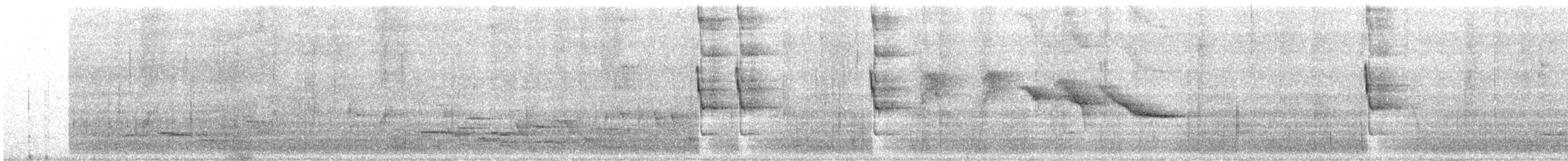 Carpophage de Nouvelle-Zélande - ML578190241