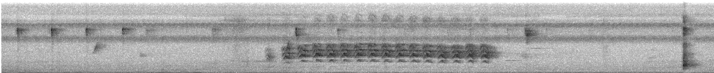 黑原鵑鵙 - ML578193481