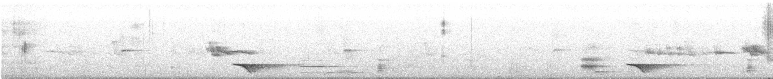 Tui - ML578198231