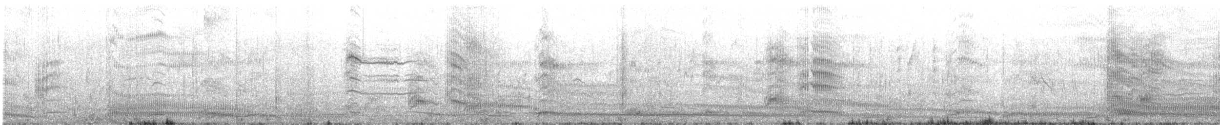 紐澳紅嘴鷗(scopulinus) - ML578211351