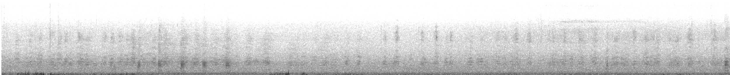 Крижень звичайний х австалійський - ML578212871