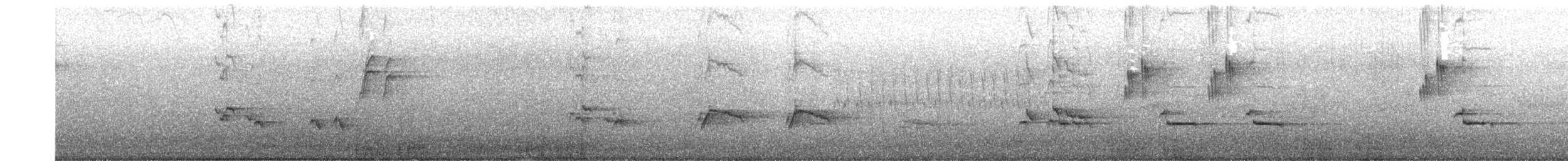 Tordo bottaccio - ML578214121