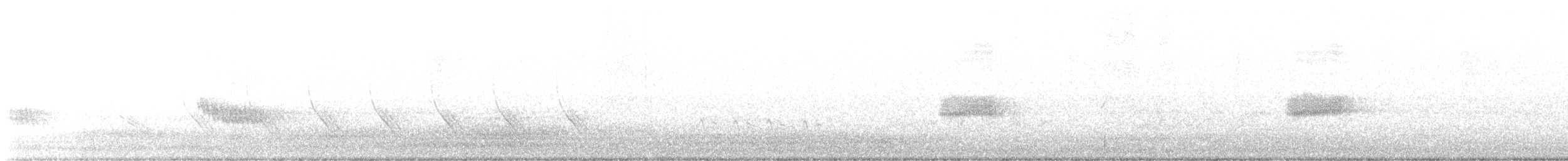 Трупіал плямистоволий - ML578223051