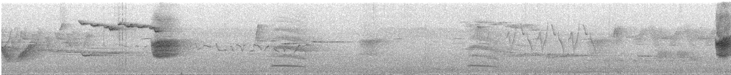 Вилохвістка плямиста - ML578243241