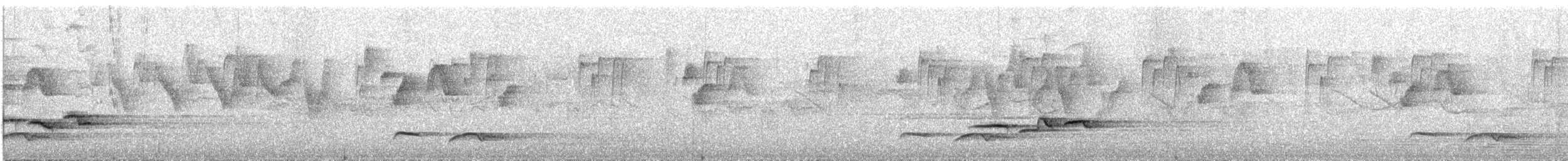 オグロコンヒタキ - ML578250511