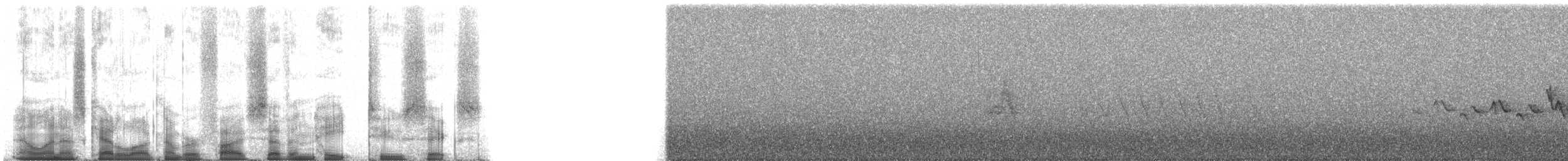 Чернітка білокрила - ML57826