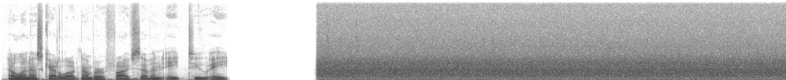 hvitvingehvitstjert - ML57828