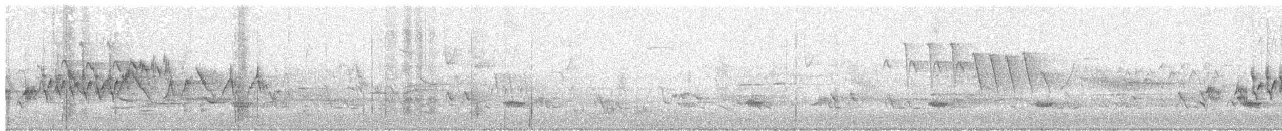 Cerulean Warbler - ML57829381