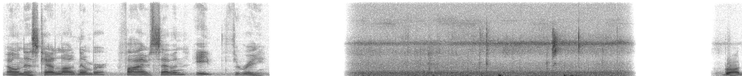 Fiji Bush Warbler - ML5783