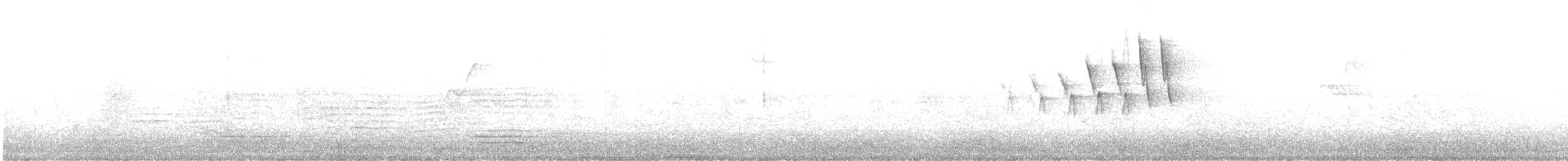 Болотянка мала (підвид chryseola) - ML578302241