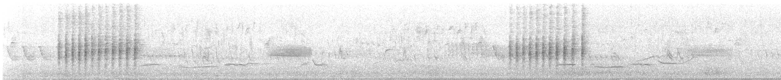 Woodchat Shrike - ML578305161
