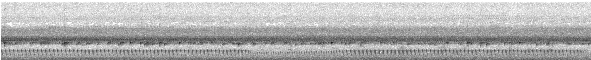 Square-tailed Nightjar - ML578310211