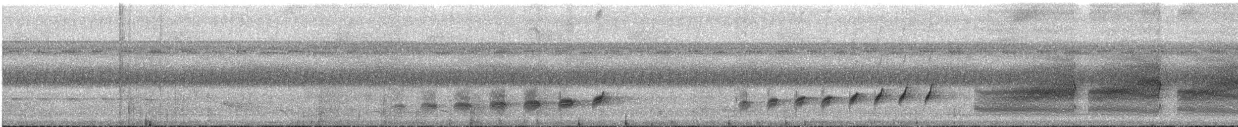 Bauchflecken-Ameisenvogel - ML578317431