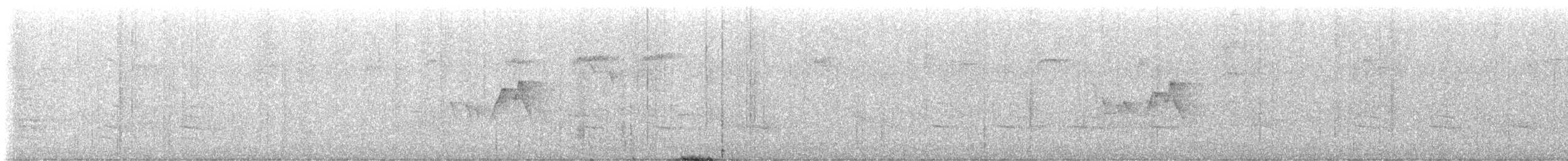 Magnolia Warbler - ML578353561