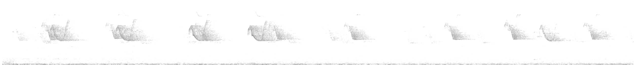 Kırlangıç Kuyruklu Kolibri - ML578377641