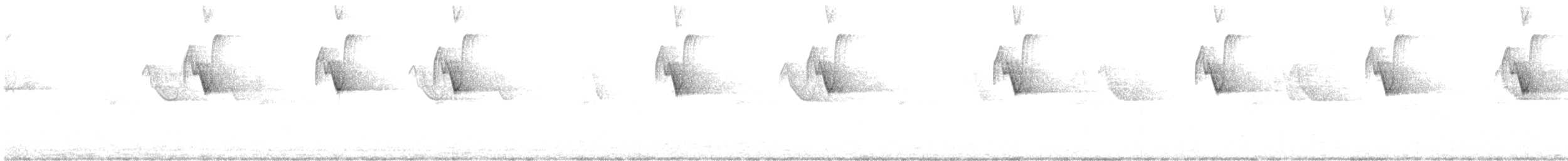 Kırlangıç Kuyruklu Kolibri - ML578377651