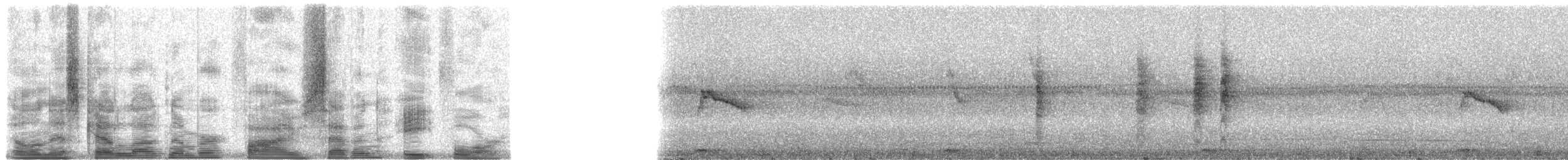 Graumantel-Brillenvogel - ML5784
