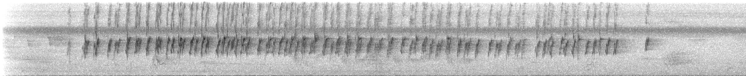 Dickschnabel-Sperlingspapagei - ML578411111